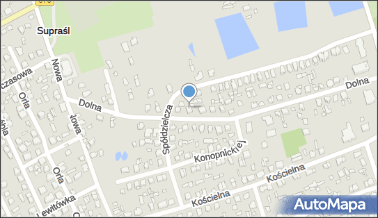 Skyweb, Dolna 36, Supraśl 16-030 - Przedsiębiorstwo, Firma, NIP: 9662094370