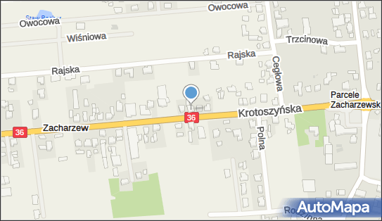 6221903873, Sławomir Zdziebkowski Usługi Transportowe 