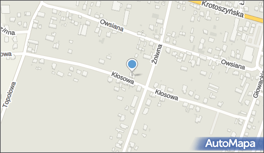 6222491160, Sławomira Bąk Forest 