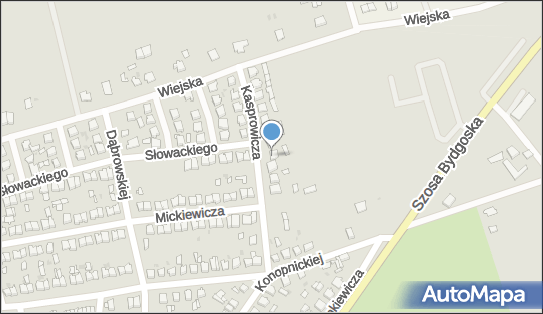 Słowik Auto Center, Kasprowicza Jana 14, Szubin 89-200 - Przedsiębiorstwo, Firma, numer telefonu