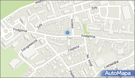 Słuchton Aparaty Słuchowe Danuta Jankowska, Podgórna 21 65-213 - Przedsiębiorstwo, Firma, NIP: 9291082029