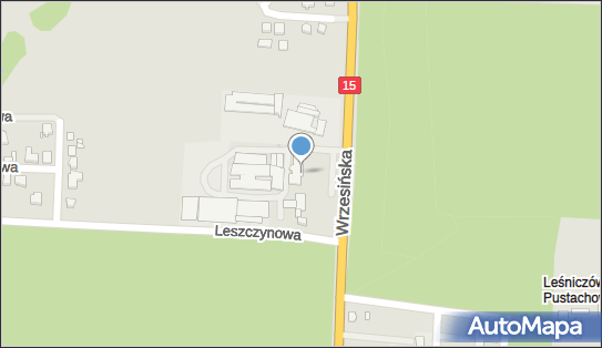 301067089, Smartway Logistics B.V.Oddział w Polsce 