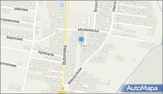 Smilers, ul. Mickiewicza 13A, Orzech 42-622 - Przedsiębiorstwo, Firma, NIP: 6452341406