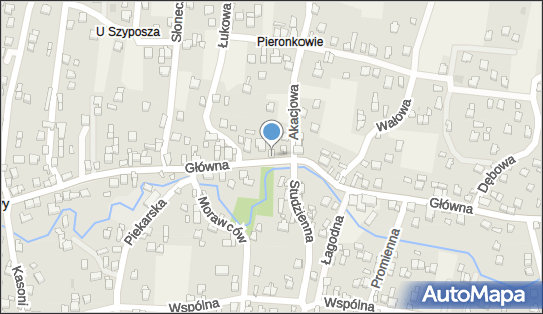 5531399687, Śnieżek Irena - Firma Handlowo - Usługowo - Transportowo - Spedycyjna 
