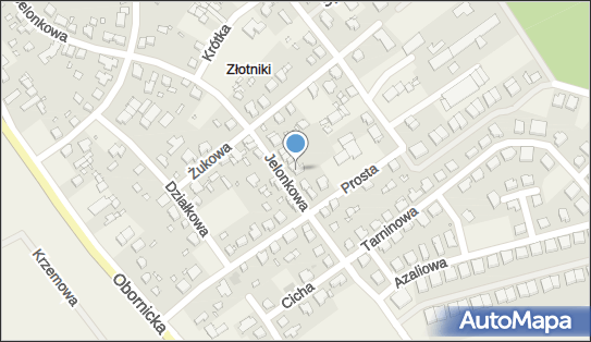 Sophi Korepetycje, Jelonkowa 27, Złotniki 62-002 - Przedsiębiorstwo, Firma, numer telefonu, NIP: 7772989859