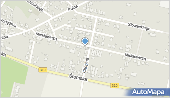 Sophie Sonia Piechocka, ul. Adama Mickiewicza 20 64-020 - Przedsiębiorstwo, Firma, NIP: 7822429709