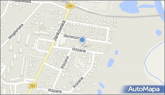 5561159456, Sopoliński Krzysztof 88-170 Pakość ul.Różana 15 Zakład Usług Malarskich i Tapeciarskich 