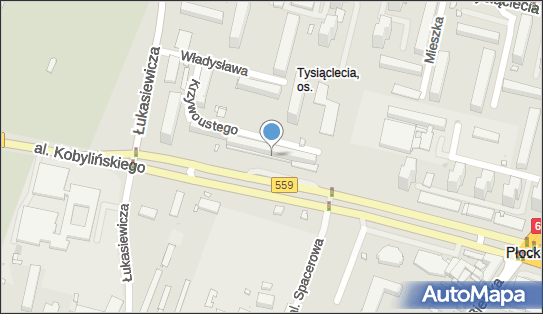 Sowińska Maryla, al. Floriana Kobylińskiego 14, Płock 09-402 - Przedsiębiorstwo, Firma, NIP: 7741992783