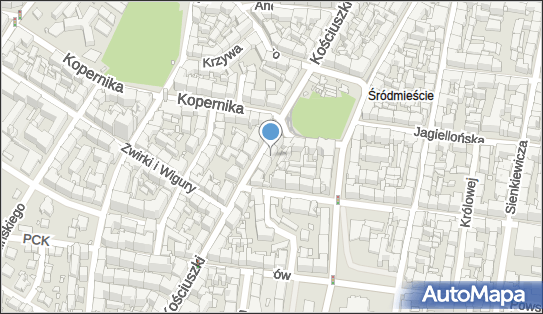Specjalistyczna Praktyka Lekarska Gabinet Laryngologiczny, Katowice 40-049 - Przedsiębiorstwo, Firma, numer telefonu, NIP: 6341550532