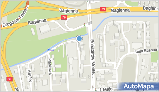 Specjalistyczna Praktyka Lekarska Gabinet Ortopedyczny, Katowice 40-231 - Przedsiębiorstwo, Firma, NIP: 9541418804