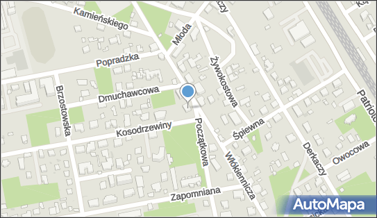 5271238414, Specjalistyczna Praktyka Lekarska w.Jodkowski, Witold Jodkowski 