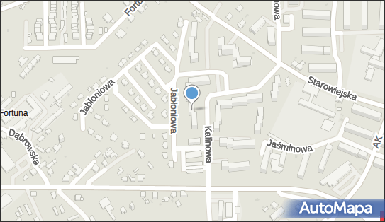 Specjalistyczna Praktyka Lekarska Wamed, ul. Kalinowa 3, Jaworzno 32-510 - Przedsiębiorstwo, Firma, NIP: 6321125955