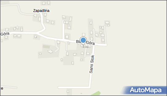 Specjalistyczna Praktyka Lekarska, Januszowice 62, Januszowice 32-088 - Przedsiębiorstwo, Firma, NIP: 6781746015