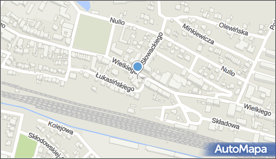 272317223, Specjalistyczna Praktyka Lekarska Barbara Wąs 