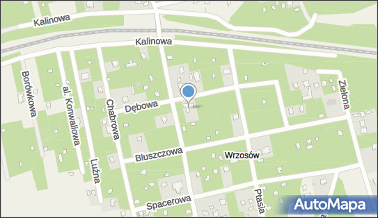 7961479622, Indywidualna Specjalistyczna Praktyka Lekarska w Miejscu Wezwania Anna Brudnicka Lek.Okulista 