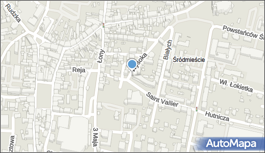 Specjalistyczna Praktyka Lekarska, ul. Wysoka 25, Rybnik 44-200 - Przedsiębiorstwo, Firma, NIP: 6420409035