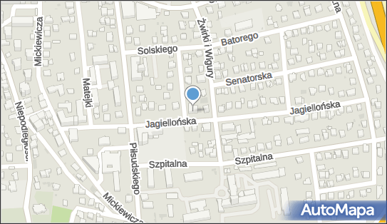 7350015224, Specjalistyczny Gabinet Alergologiczny - Dziecięcy Leszek Sojka 