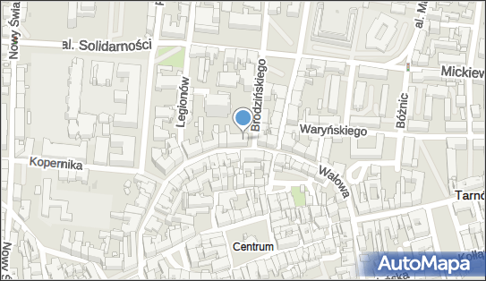 Specjalistyczny Gabinet Lekarski Lek, Wałowa 22, Tarnów 33-100 - Przedsiębiorstwo, Firma, NIP: 8731132045
