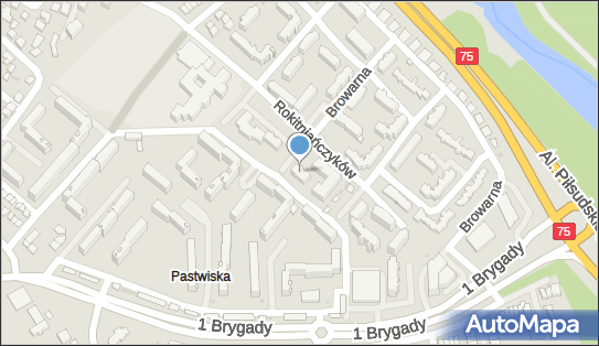 Specjalistyczny Gabinet Lekarski, ul. Rokitniańczyków 30 33-300 - Przedsiębiorstwo, Firma, NIP: 7341793011