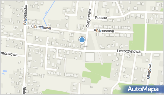 Specjalistyczny Gabinet Lekarski, ul. Leszczynowa 17, Grabówka 15-523 - Przedsiębiorstwo, Firma, NIP: 9660134504