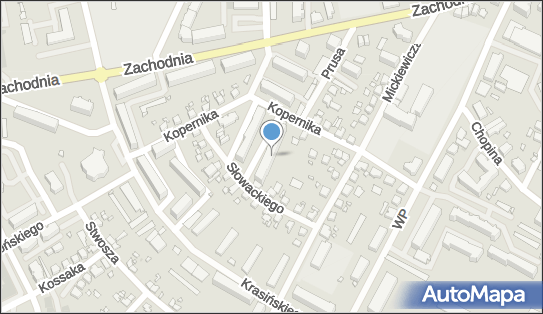 5961100521, Specjalistyczny Zakład Dezynfekcji, Dezynsekcji i Deratyzacji Izabela Nowak. 