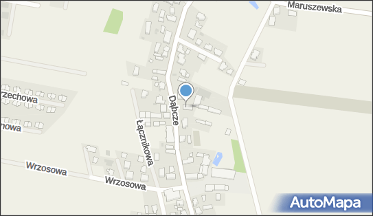 6971915107, Spectorium - MGR Inż.Jędrzej Lisewski 