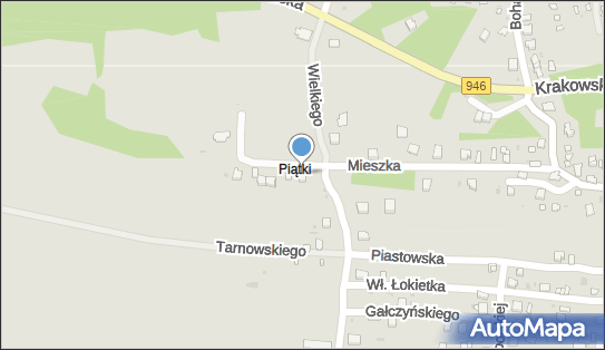 Spedex, Mieszka I 15, Żywiec 34-300 - Przedsiębiorstwo, Firma, numer telefonu, NIP: 5531002968