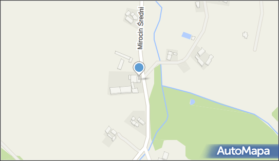 9251003153, Spedycja Goldi Błażej Goldmann 