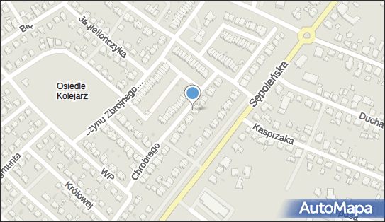 Spedycja Sawicki Sawicki Franciszek Sawicka Krystyna, Chojnice 89-600 - Przedsiębiorstwo, Firma, NIP: 5551003706