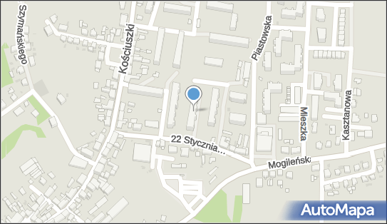 Speed-It Krystian Śliwczyński, 22 Stycznia 5, Trzemeszno 62-240 - Przedsiębiorstwo, Firma, NIP: 7842094324