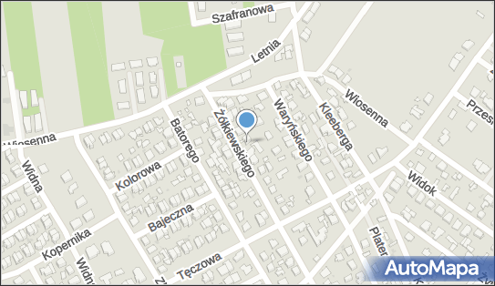 1250866310, Speed Trade Konopczyńska Agnieszka 