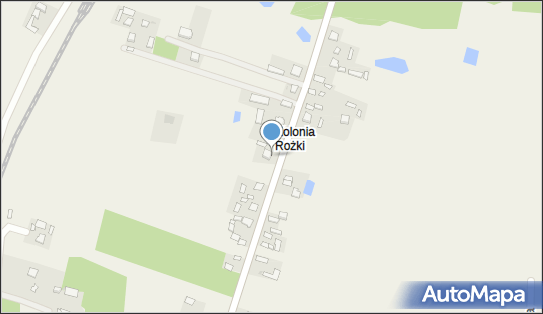142891954, Spider Pająk Łukasz 