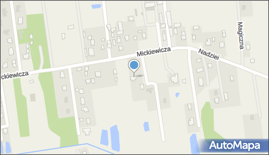 145300110, Spółka Wodna Góraszka 