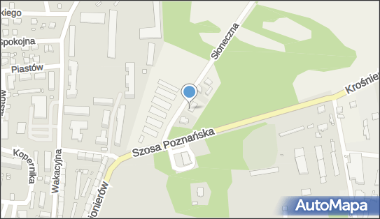 Sport Dawid Borodo, Kamień 11A, Kamień 66-600 - Przedsiębiorstwo, Firma, NIP: 9261648549