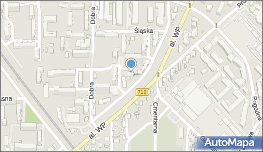142306507, Sport - Standard 