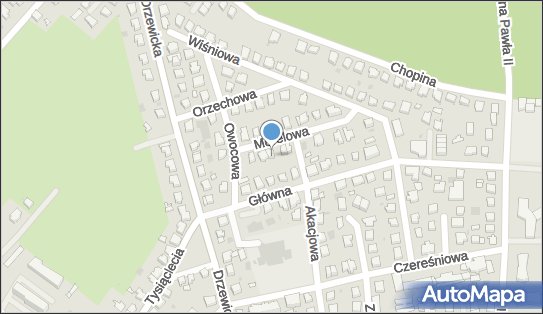 Sprzedaż Art Spożywczych i Przemysłowych, Morelowa 6 66-470 - Przedsiębiorstwo, Firma, NIP: 5981050594