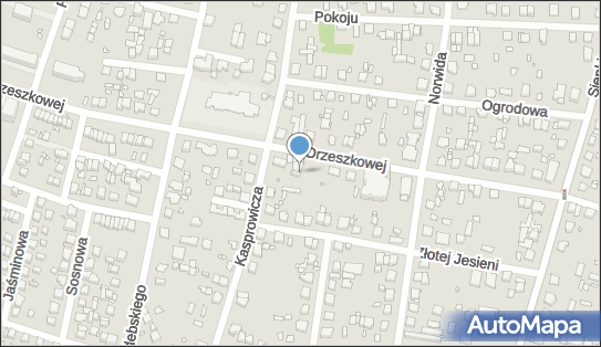 5221223356, Sprzedaż Art.Spożywczych i Przemysłowych, Suchanek Magdalena 