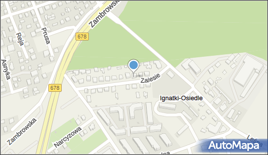 Sprzedaż Artykułów Przemysłowych Hurt Detal, ul. Zalesie 6 15-378 - Przedsiębiorstwo, Firma, NIP: 9660253999