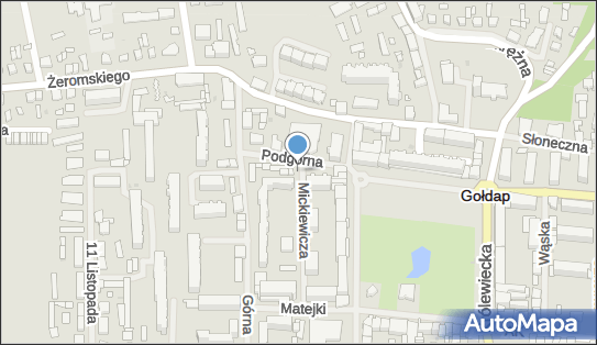 9511009923, Sprzedaż Artykułów Przemysłowych Romuald Wygryz w Gołdapi 