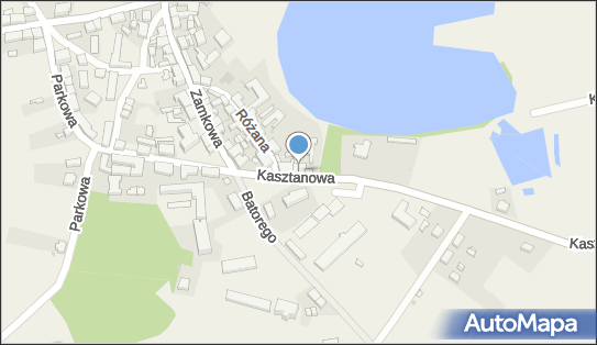 Sprzedaż Artykułów Spożywczo Przemysłowych, Kasztanowa 2 66-330 - Przedsiębiorstwo, Firma, NIP: 5961633329