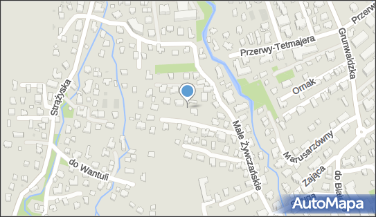 7361124678, Sprzedaż Artykułów Spożywczych i Przemysł., Borkowska-Przybylska Zofia 