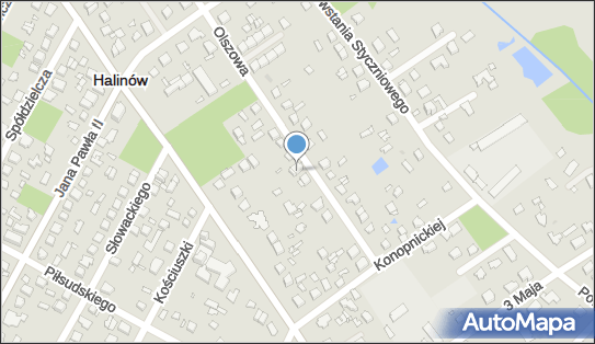 Sprzedaż Hurtowa Mięsa, Olszowa 15A, Halinów 05-074 - Przedsiębiorstwo, Firma, NIP: 9521301967