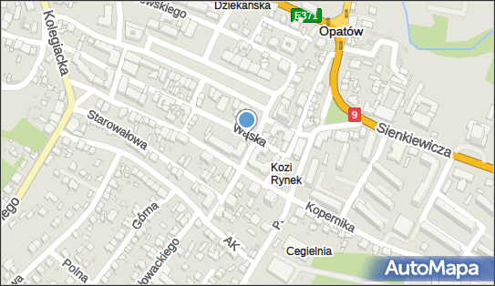 Sprzedaż i Naprawa Zegarków, ul. Juliusza Słowackiego BN, Opatów 27-500 - Przedsiębiorstwo, Firma, NIP: 8631257356