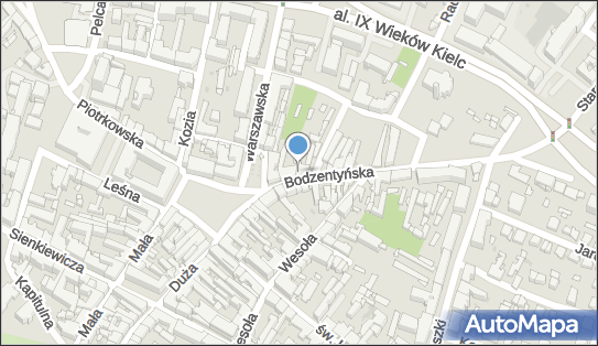 6571229851, Sprzedaż i Wypożyczalnia Samochodów, Naprawa Plastyków Bujakowski Jerzy 