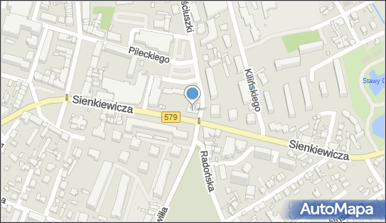 5291090713, Olesiński Jan, Sprzedaż Mięsa i Wędlin 