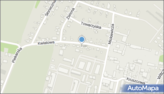 6481931665, Sprzedaż Obwoźna Zniczy i Kwiatów, Piotr Dąbrowski 