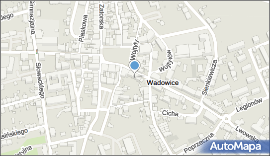 Sprzedaż Prasy Art Chemiczne i Spożywczych Pakowanych, Wadowice 34-100 - Przedsiębiorstwo, Firma, NIP: 5511003054