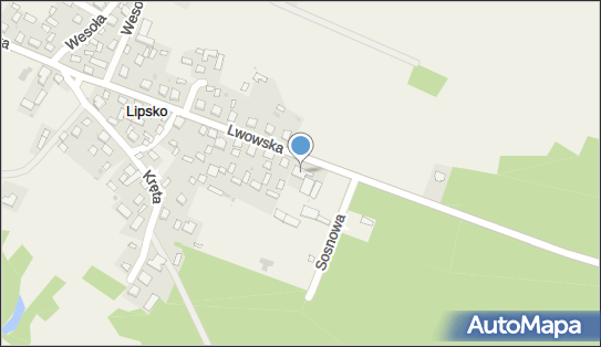 7931587376, Środowiskowy Dom Samopomocy w Lipsku 