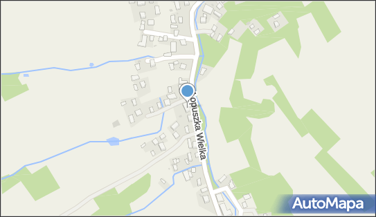 Środowiskowy Dom Samopomocy w Łopuszce Wielkiej, Łopuszka Wielka 37-220 - Przedsiębiorstwo, Firma, NIP: 7941818819