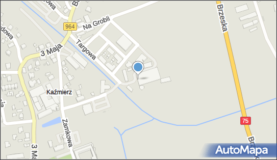 Środowiskowy DOM Samopomocy w Niepołomicach, Targowa 8 32-005 - Przedsiębiorstwo, Firma, numer telefonu, NIP: 6831947633